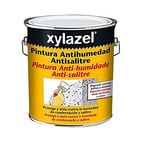 Xylazel - Pintura antihumedad antisalitre 4l