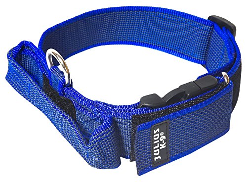 Julius-K9 Collar Color & Gray con la manija, la cerradura de seguridad y el remiendo intercambiables, 40 mm 38/53 cm, Azul/Gris
